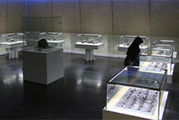 موزه شهاب سنگ (تالار تشریفات)